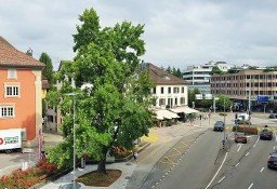 Lokal Rapperswil SG