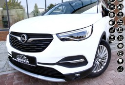 Opel Grandland X SalonPL|1 Ręka|Panorama|FuLLLed|As.Pasa|6 Bieg|Navi| Serwis|GWARANCJ