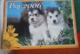 Kalendarz z psami