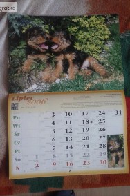 Kalendarz z psami-2