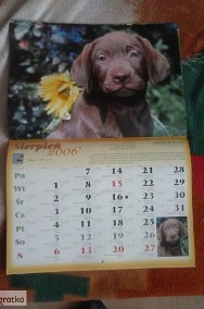 Kalendarz z psami-3