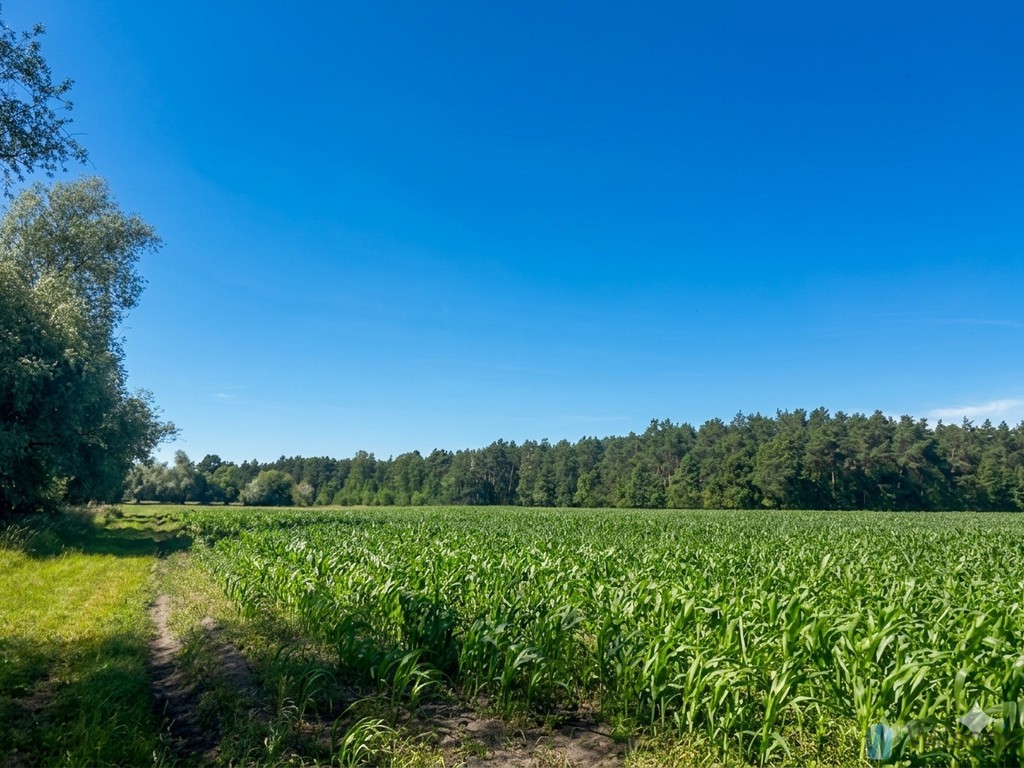 Śródborze – 12,85 ha z WZ przy S7 - Widok 2