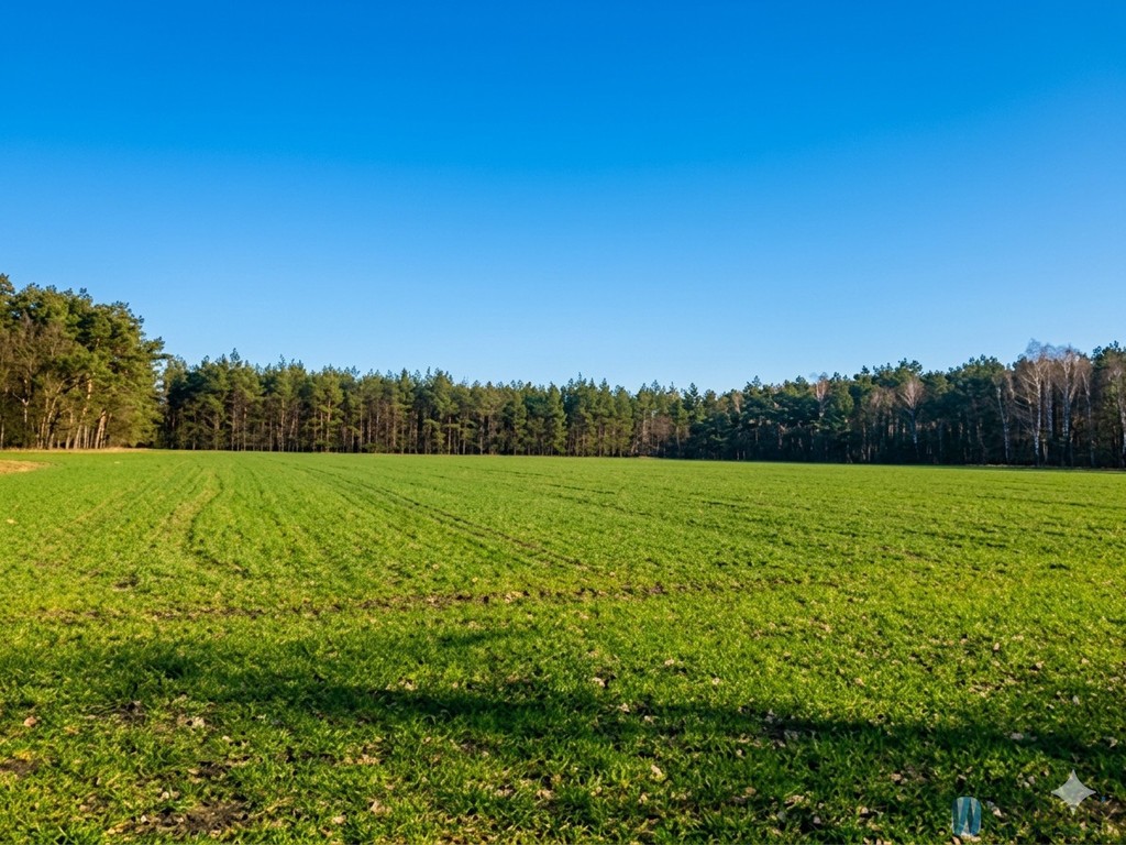 Śródborze – 12,85 ha z WZ przy S7 - Widok 3