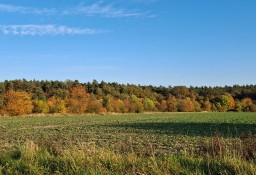 Działka inna Karczów