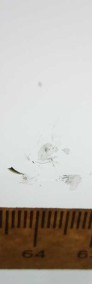 Szyba czołowa przednia LYNKCO 01 2017- SENSOR KAMERA ORG B77946-4