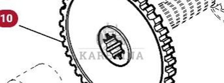 Massey Ferguson 7718S 7718 S 1804A DYNA 6 Zębnik Zębatka Koło Zębate CZĘŚCI 4313176M1-1