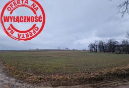 Działka siedliskowa Sieciechowice