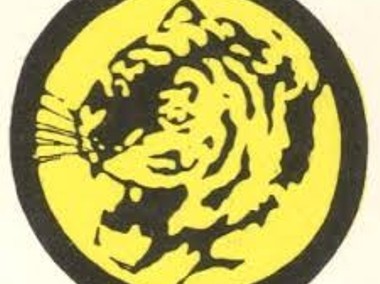 Książki z serii Żółty Tygrys 521 sztuk -1