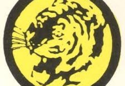 Książki z serii Żółty Tygrys 521 sztuk 