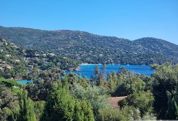 Dom Le Lavandou