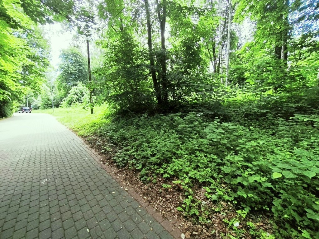 Grunt pod biznes turystyczny nad Jeziorem Narie – Kretowiny, 1669 m² - Więcej
