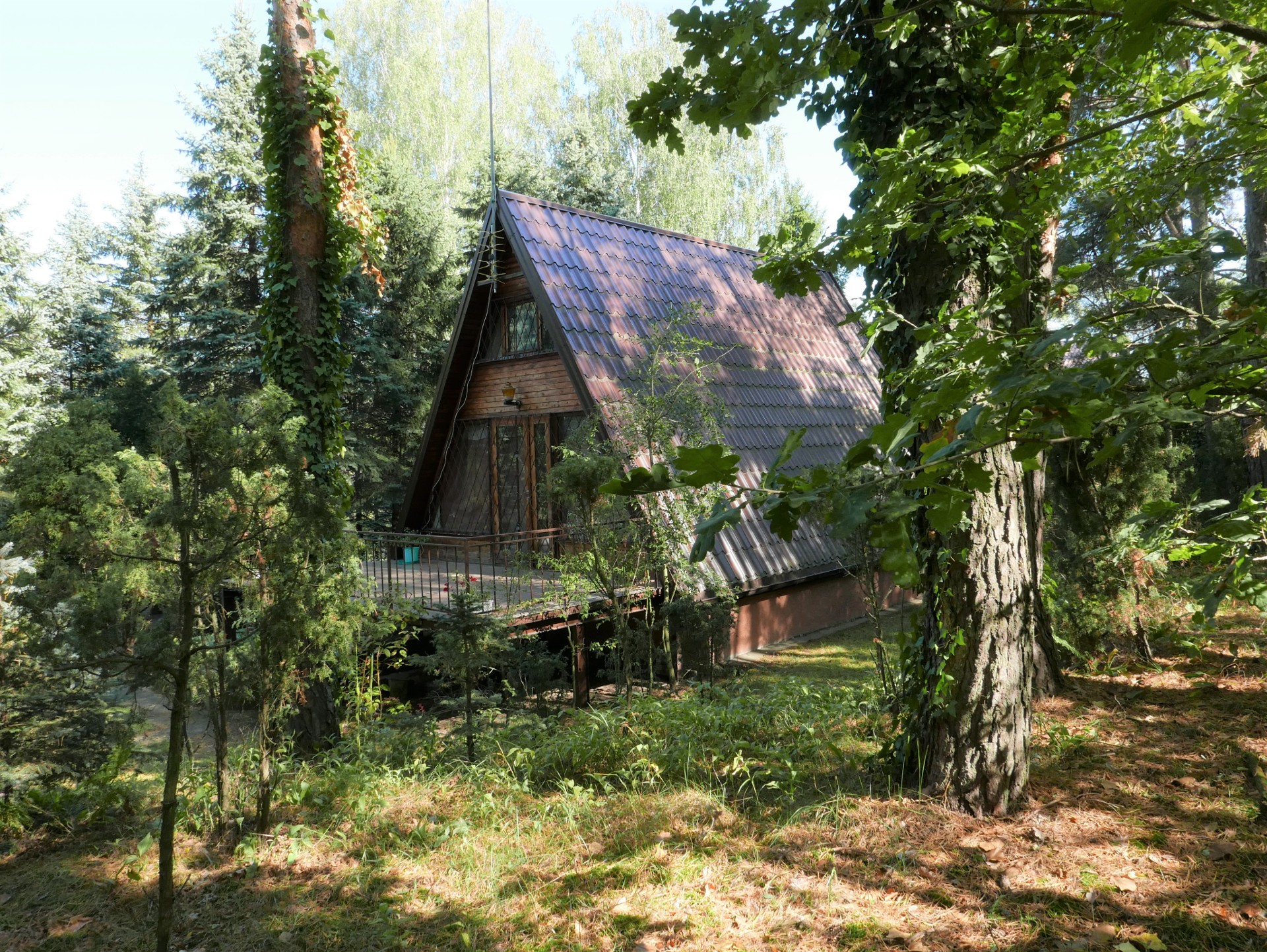 Urokliwa działka pod Radzyminem - Widok 2