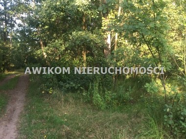 Malownicza działka w leśnej okolicy Warszawy-2