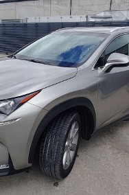 Lexus NX NX 14--2