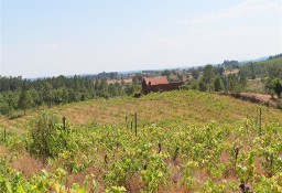 Działka inna Fundão, Castelo Branco