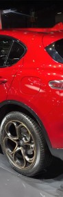 Alfa Romeo Stelvio Turbo Intensa Q4 2.0 Turbo Intensa Q4 (280KM) Lakier specjalny czerwony-3