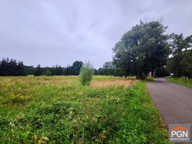 Działka budowlana przy lesie 7 km od Pobierowa-1