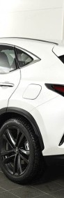 Lexus NX NX 14- 350h Prestige 2.5 Hybrid AWD NX 350h Prestige 2.5 Hybrid AWD | Wentylowane-4