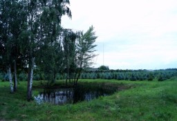 Działka rolna Miedzechów