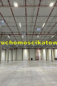 Nowy magazyn do wynajęcia Katowice śląskie rampy plac biura socjal-2