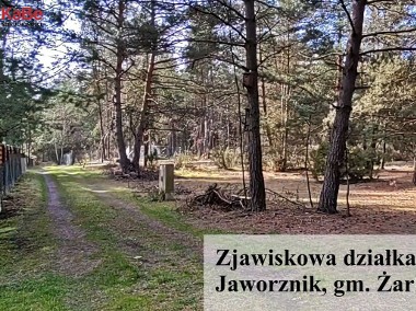 Urokliwa działka rekreacyjna/leśna w Jaworzniku-1