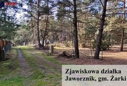 Działka leśna Jaworznik