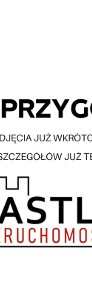 Działka dla Twojego biznesu | Dobra lokalizacja-3