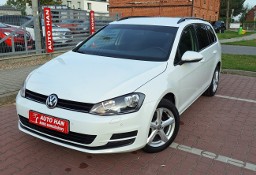 Volkswagen Golf VII .