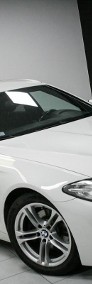 BMW SERIA 5 Mpakiet*Salon Polska*Serwisowany*I rej 2017*Vat23%-3