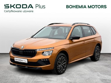 Skoda Kamiq-1