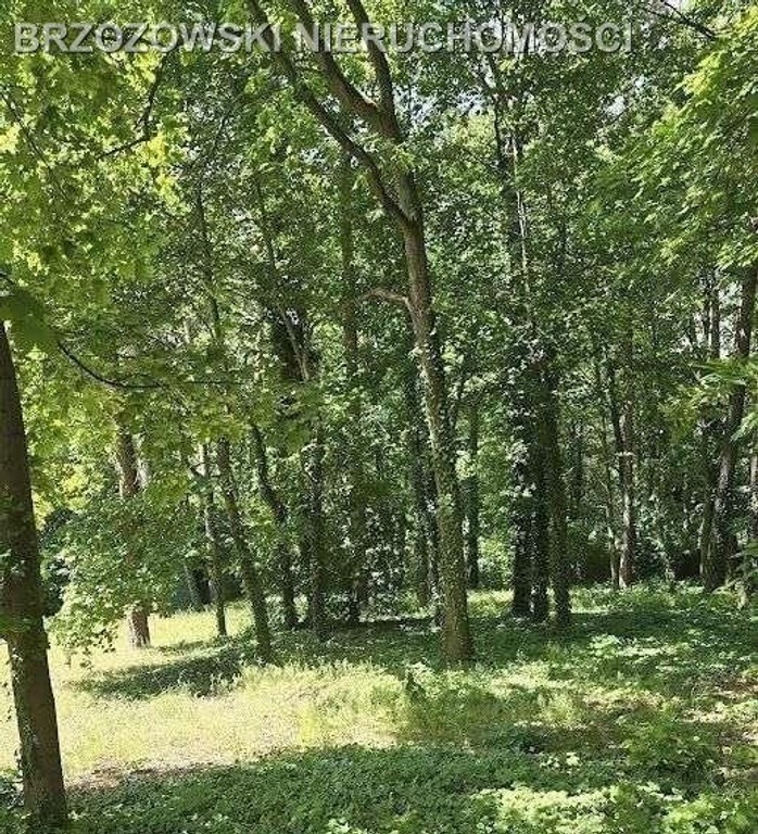 Podkowa Leśna, rejon Parkowej, MPZP, mieszkaniowa - Widok 2