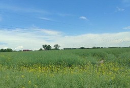 Działka budowlana Pniów, ul. Srocza Góra