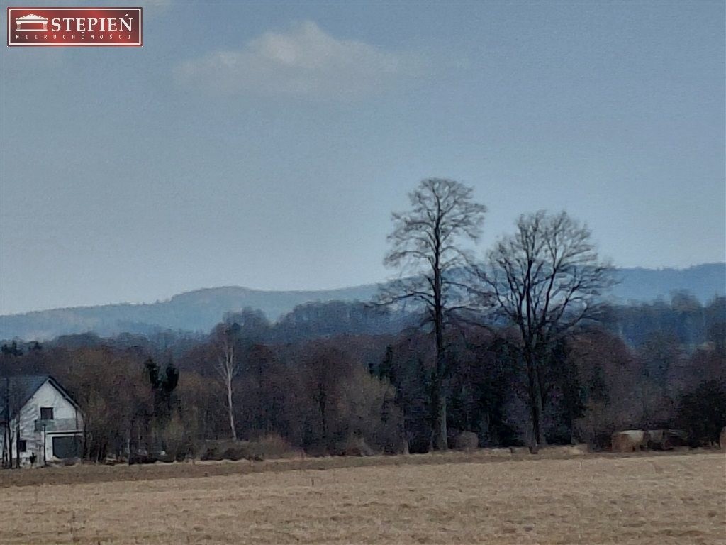 Działka widokowa w Kostrzycy. - Widok 3