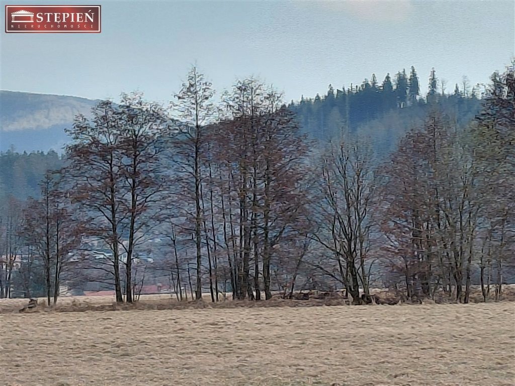 Działka widokowa w Kostrzycy. - Widok 6
