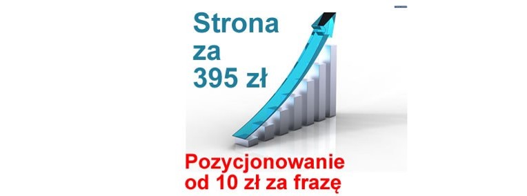 Strona wizytówka Tychy tania strona internetowa WWW strony mobilne responsywne-1