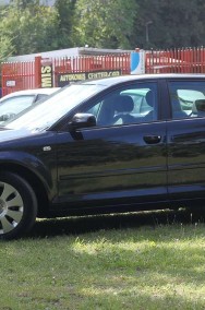 Audi A3 II (8P)-2