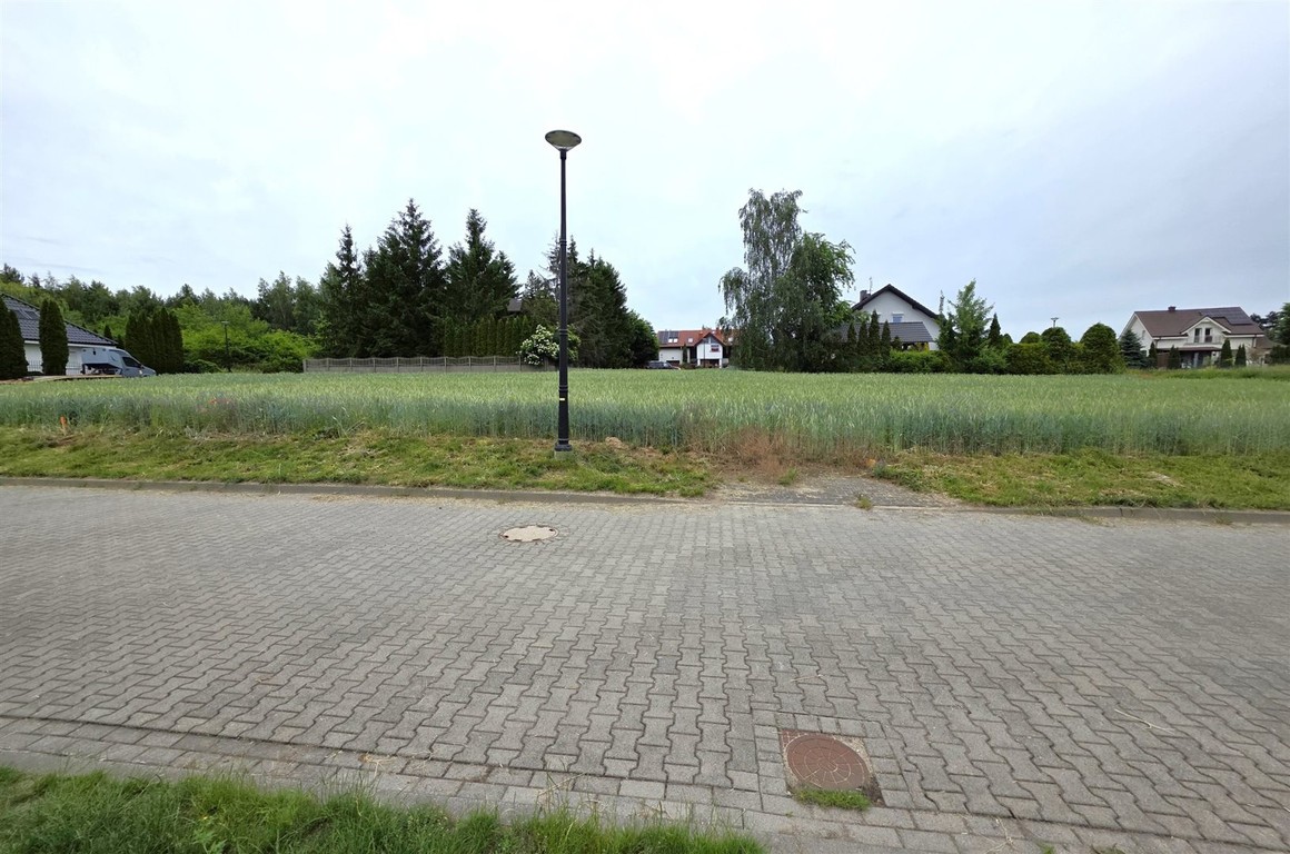 Atrakcyjna działka w Lusowie 601 m² ul. Świt - Widok 6