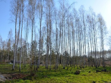 Jakubowice Koniń. Kol.,działka na osiedlu domków-1