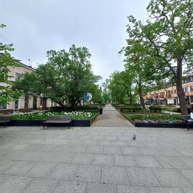 Centrum, 2 pokoje, balkon - Widok 3