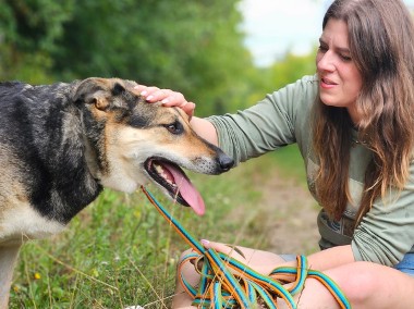 Ludzie! Przygarnie mnie ktoś kiedyś w końcu? - Sara-1