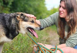 Ludzie! Przygarnie mnie ktoś kiedyś w końcu? - Sara