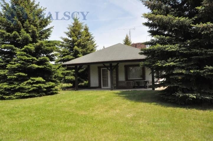 Działka siedliskowa Murzynowo Leśne Murzynowo Leśne, ul. Murzynowo