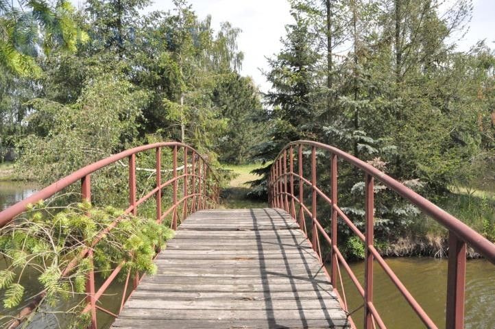 Działka siedliskowa Murzynowo Leśne Murzynowo Leśne, ul. Murzynowo