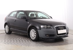 Audi A3 II (8P) , Salon Polska, Klimatronic, El. szyby