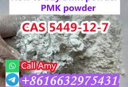 Guaranteed BMK/PMK powder CAS 5449-12-7/28578-16-7 purity levels