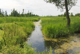 Działka rekreacyjna Komarowo