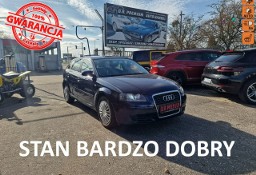 Audi A3 II (8P) 1.9 TDI 104 KM, Klimatyzacja, Webasto, Skóra, Bi-Xenon, Hak, Isofix