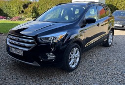 Ford Escape II 1.5 SEL 2019 4x4