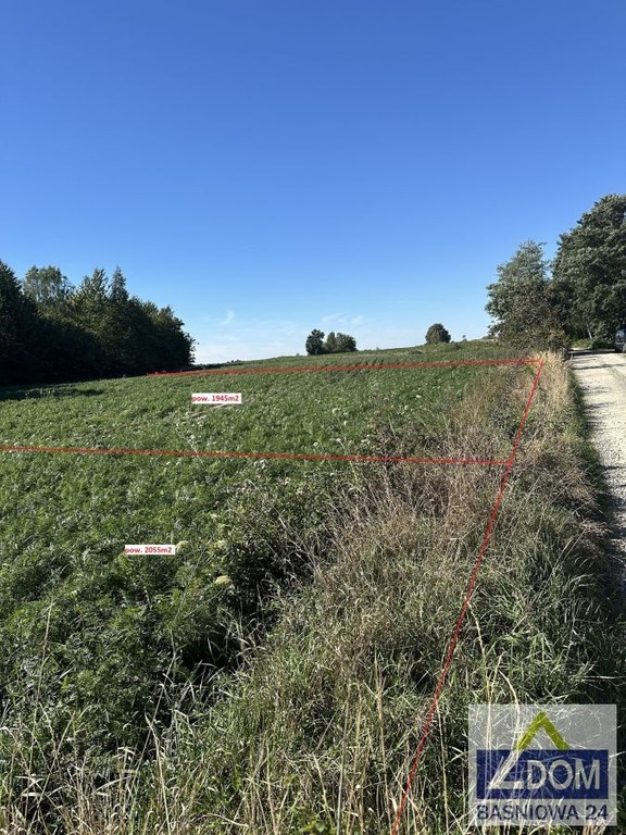 Ostatnia działka ze starodrzewem - Widok 2