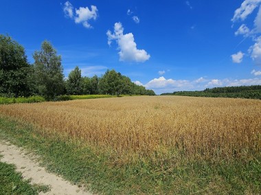 Karczmiska Drugie - ponad 33ar działki rolnej-1